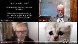 Lawyer appears in court as a kitten in snafu